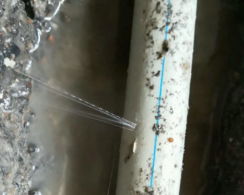 金门卫生间测漏水多少钱