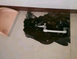 金门卫生间测漏水多少钱